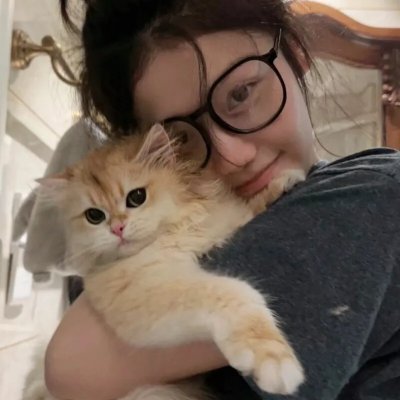 枪与玫瑰：少帅的逃爱游戏